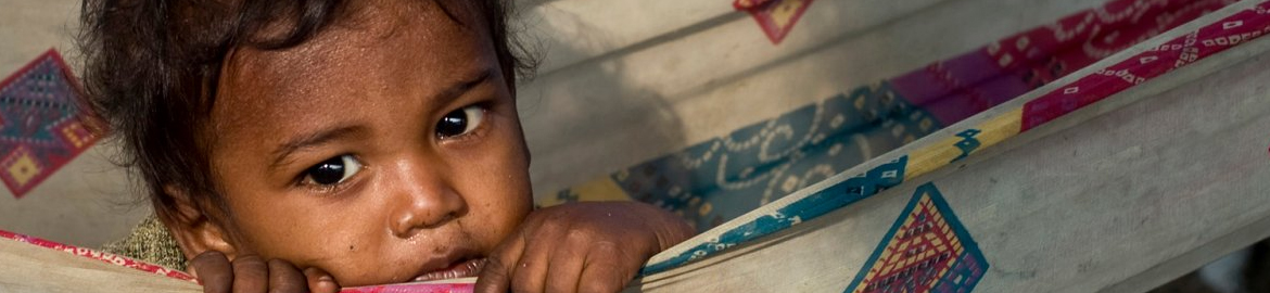 Awesome Interactive Panels